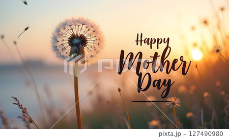Gentle Sunset Glow: A Dandelion's Delicate Wish for a Happy Mother's Day 127490980