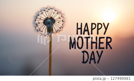 Dandelion with Happy Mother's Day Greeting against Soft Sunset Background 127490981