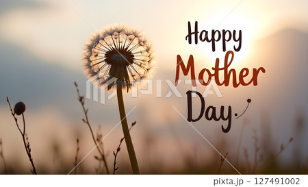Happy Mother's Day dandelion silhouette, a gentle celebration in the sunset Happy Mother's Day dandelion silhouette, a gentle celebration in the sunset 127491002