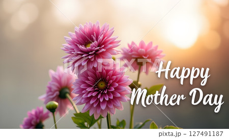 Elegant pink dahlia flowers with happy mother day greeting background design 127491187