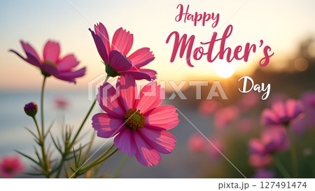 Happy Mother's Day image with pink cosmos flowers and a beautiful sunset 127491474