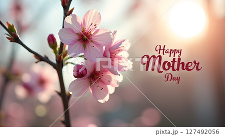 Pink blossoms and happy mother's day greeting, a celebration of spring 127492056