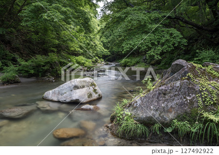 新緑の中を流れる南会津の湯ノ岐川 127492922