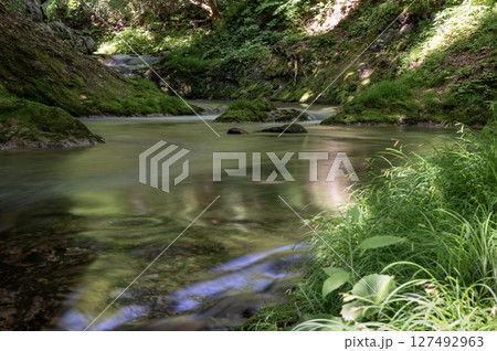 新緑の中を流れる南会津の湯ノ岐川 127492963