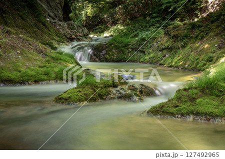 新緑の中を流れる南会津の湯ノ岐川 新緑の中を流れる南会津の湯ノ岐川 127492965