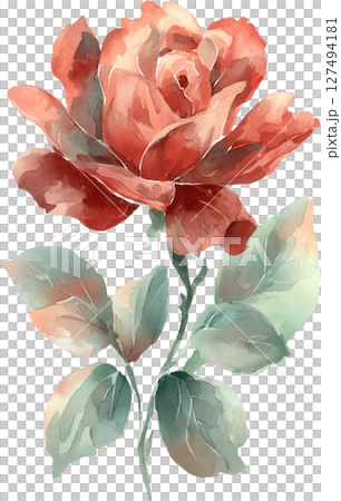 Watercolor illustration of single red rose with green leaves, showing delicate petals and soft color blending in natural style 127494181