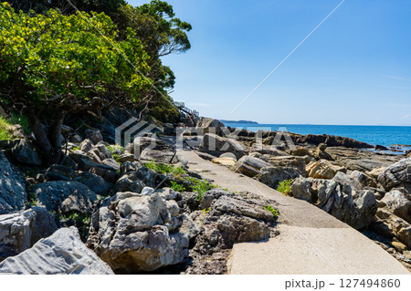 神崎鼻公園の海中遊歩道の風景（佐世保市） 127494860