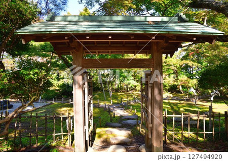 越路もみじ園（新潟県） 127494920