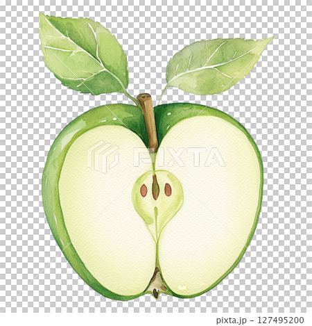 Green apple slice with leaves watercolor painting showing fresh healthy fruit Green apple slice with leaves watercolor painting showing fresh healthy fruit 127495200