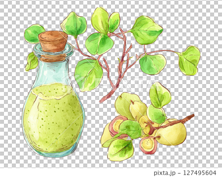 Green smoothie in glass bottle with cork, fresh leaves and fruit branch, healthy drink Green smoothie in glass bottle with cork, fresh leaves and fruit branch, healthy drink 127495604