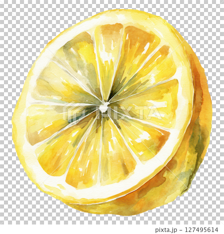 Watercolor lemon slice with bright yellow and green shades, fresh citrus fruit illustration 127495614