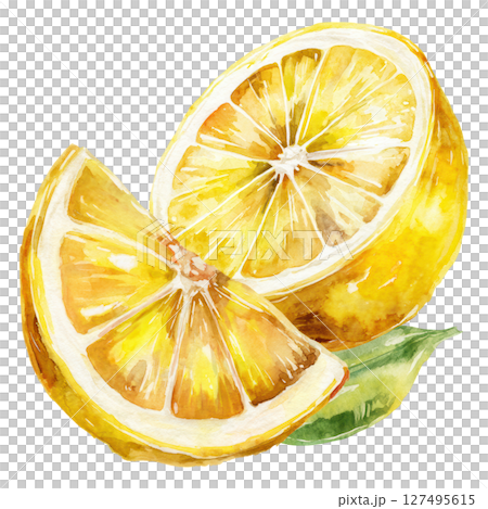 Lemon slice watercolor painting with fresh citrus fruit and green leaf detail Lemon slice watercolor painting with fresh citrus fruit and green leaf detail 127495615