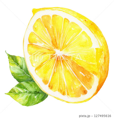 Lemon slice with green leaves watercolor painting bright citrus fruit illustration 127495616