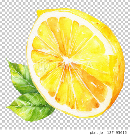 Lemon slice with green leaves watercolor painting bright citrus fruit illustration 127495616