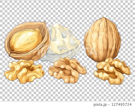 Walnut nut with shell and kernel pieces isolated on transparency background, healthy snack food Walnut nut with shell and kernel pieces isolated on transparency background, healthy snack food 127495724