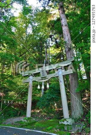 朝日神社(新潟県) 朝日神社(新潟県) 127495763