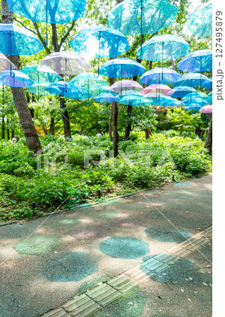 アンブレラスカイ 127495879