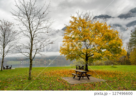 Moody autumn landscape with bare trees and benches on mountain lake shore. Moody autumn landscape with bare trees and benches on mountain lake shore. 127496600