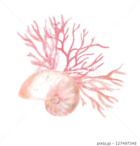 Watercolor delicate composition with shell and corals 127497348