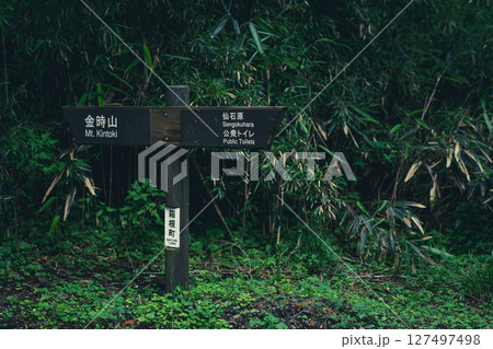 金時山登山口の案内板が示す静かな登山道　　神奈川県箱根町公時神社 127497498