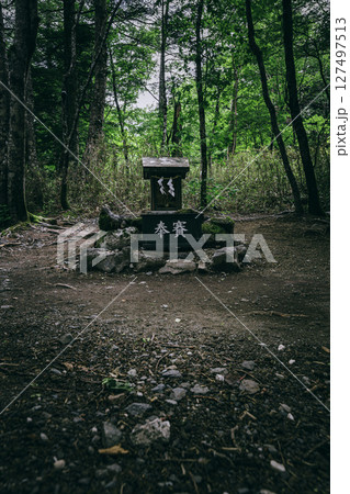新屋山神社奥宮の静寂な森に佇む祈りの祭壇　金運　パワースポット 127497513
