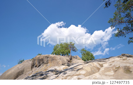 Huge rocky boulder formations high in mountains with growing trees on summer sunny day Huge rocky boulder formations high in mountains with growing trees on summer sunny day 127497735