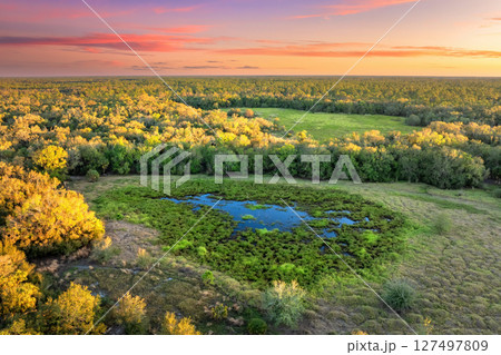 Florida wetlands with water between green wild vegetation. Tropical ecosystem at sunset Florida wetlands with water between green wild vegetation. Tropical ecosystem at sunset 127497809