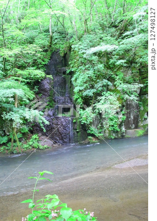 奥入瀬渓流(千筋の滝) 奥入瀬渓流(千筋の滝) 127498127