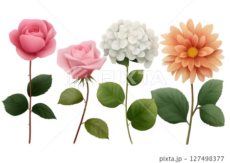 A detailed illustration of four different flower types: pink roses, white hydrangeas, and an orange dahlia, each with lush green leaves. Perfect for botanical designs and floral projects. 127498377