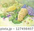 手描きした夏の青果の水彩画 127498407