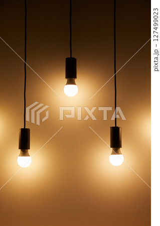 Lightbulbs hanging on wires, soft decoration lighting 127499023