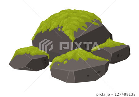 Rock cover with moss. Creeping moss on stone, moss lichen plants grows on grey rock flat vector illustration. Cartoon green moss grows on stone 127499138