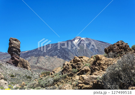 Foothills of the Teide volcano on the island of Tenerife in Spain Foothills of the Teide volcano on the island of Tenerife in Spain 127499518