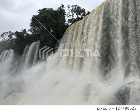 イグアスの滝 イグアスの滝 127499628
