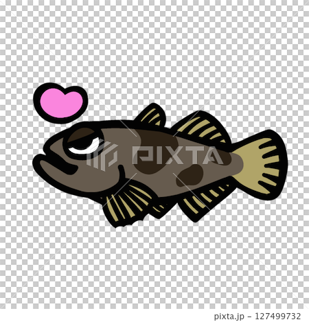 かわいい喜ぶドンコのイラスト かわいい喜ぶドンコのイラスト 127499732