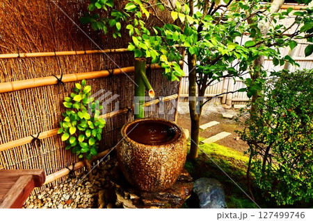 京都府 東寺 観智院・楓泉観の露地庭 獅子脅し 京都市 南区 九条町 2022年2月 京都府 東寺 観智院・楓泉観の露地庭 獅子脅し 京都市 南区 九条町 2022年2月 127499746