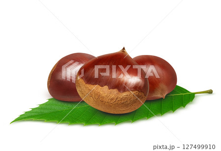 栗 イラスト リアル 和栗 127499910