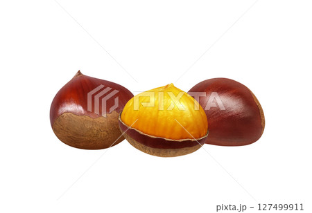 栗 イラスト リアル 和栗 127499911