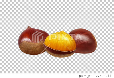 栗 イラスト リアル 和栗 127499911