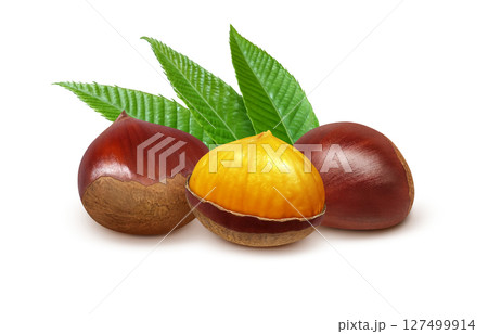 栗 イラスト リアル 和栗 栗 イラスト リアル 和栗 127499914