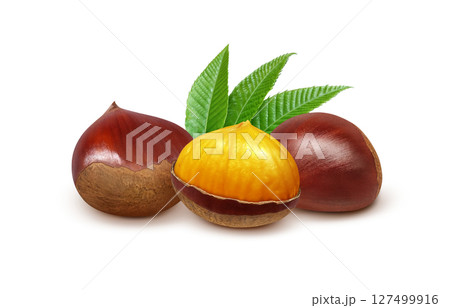 栗 イラスト リアル 和栗 127499916