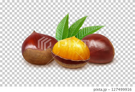 栗 イラスト リアル 和栗 127499916
