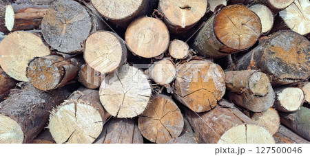 Wooden logs. Environmentally friendly fuel. 127500046