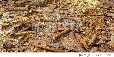 Wood debris from wood recycling. 127500068