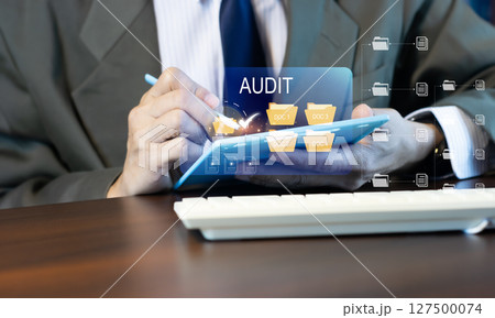 Concept of auditing the company's accounts Concept of auditing the company's accounts 127500074