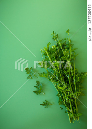 Natural green parsley in a bunch on bright greenery Natural green parsley in a bunch on bright greenery 127500456