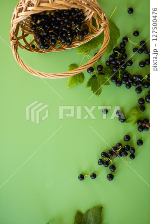 Ripe blackcurrant with leaves on a green background Ripe blackcurrant with leaves on a green background 127500476