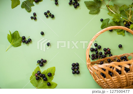 Blackcurrants and berries nearby on a green background 127500477