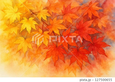 紅葉・もみじ・秋イメージ 紅葉・もみじ・秋イメージ 127500655