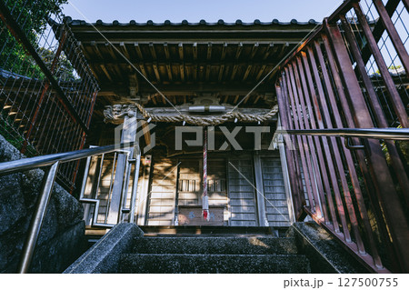 熊野神社本殿へと続く参道階段の静かな朝　神奈川県横須賀 127500755
